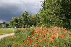 Unwetterstimmung in den Rheingärten von Neuenburg