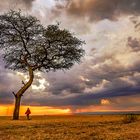 Unwetterstimmung in der Massai Mara