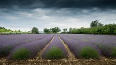 Unwetterstimmung, Provence, 11.06.2018