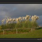 Unwetterwarnung