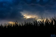 Unwetterwolken über Leichlingen