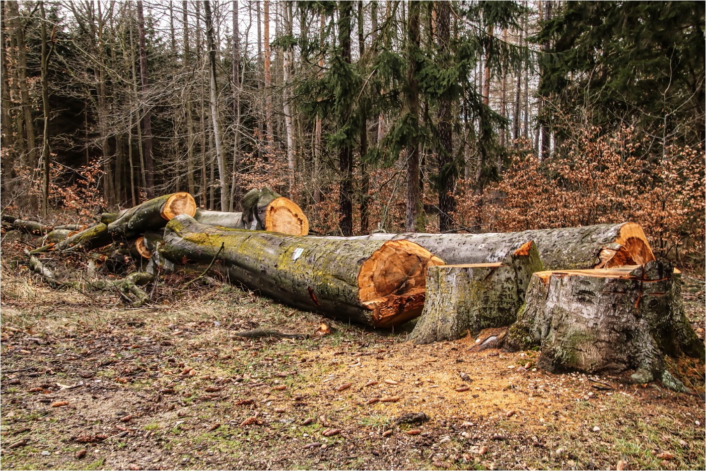 Unwiederbringlich verloren