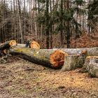 Unwiederbringlich verloren