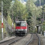 "Unwirklich - Semmering-Nachlese 2010 I", beim Adlitzgraben, 08.10.2010