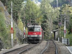 "Unwirklich - Semmering-Nachlese 2010 I", beim Adlitzgraben, 08.10.2010