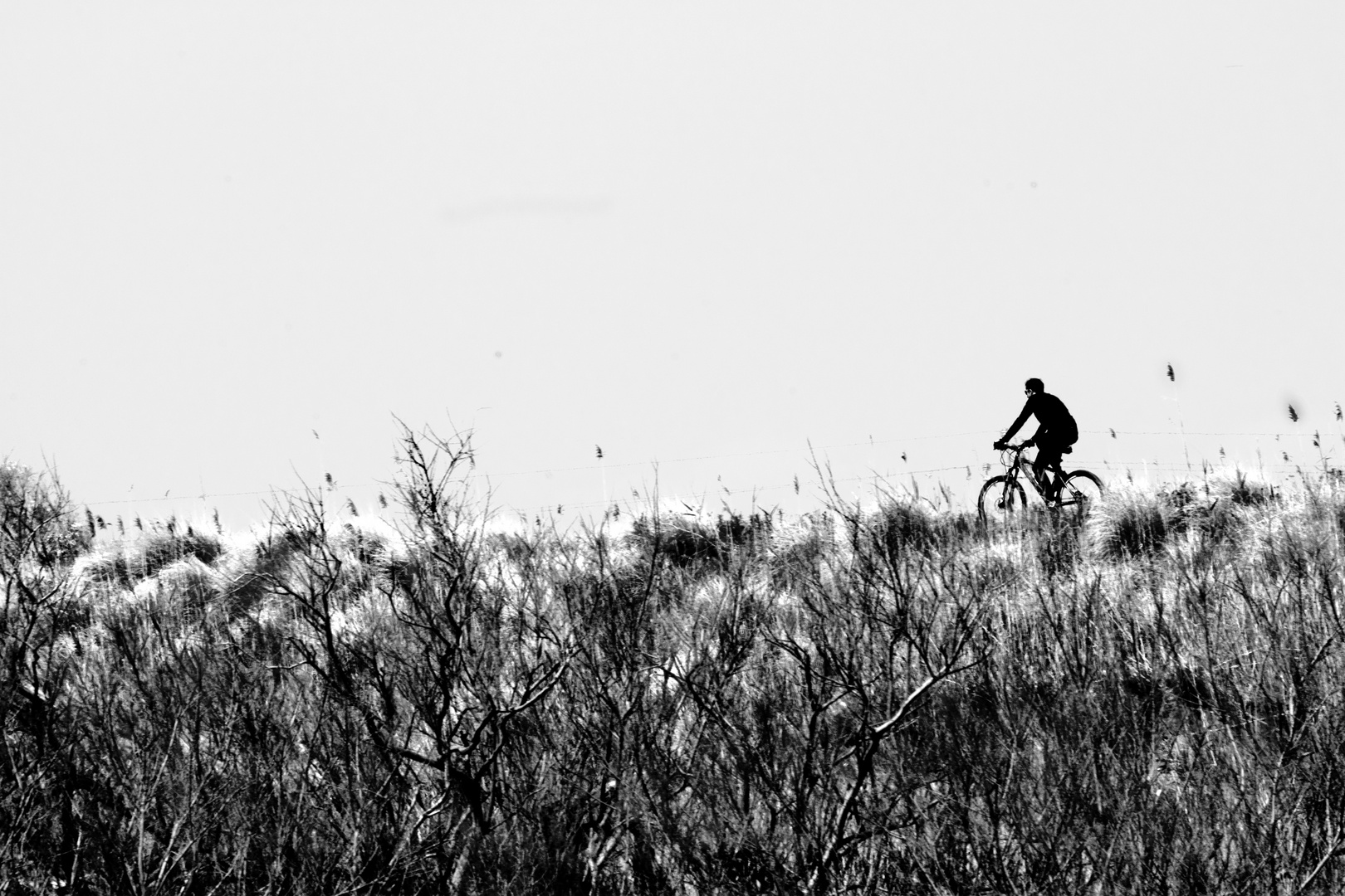 Uomo in bici