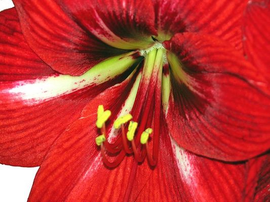 Up Close and Personal