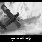 up in the sky