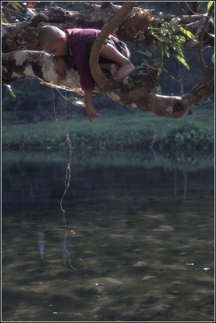 Up in tree´s Pt.3