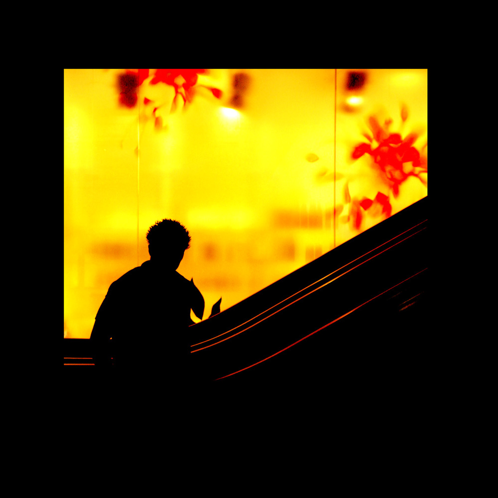 Up the escalator