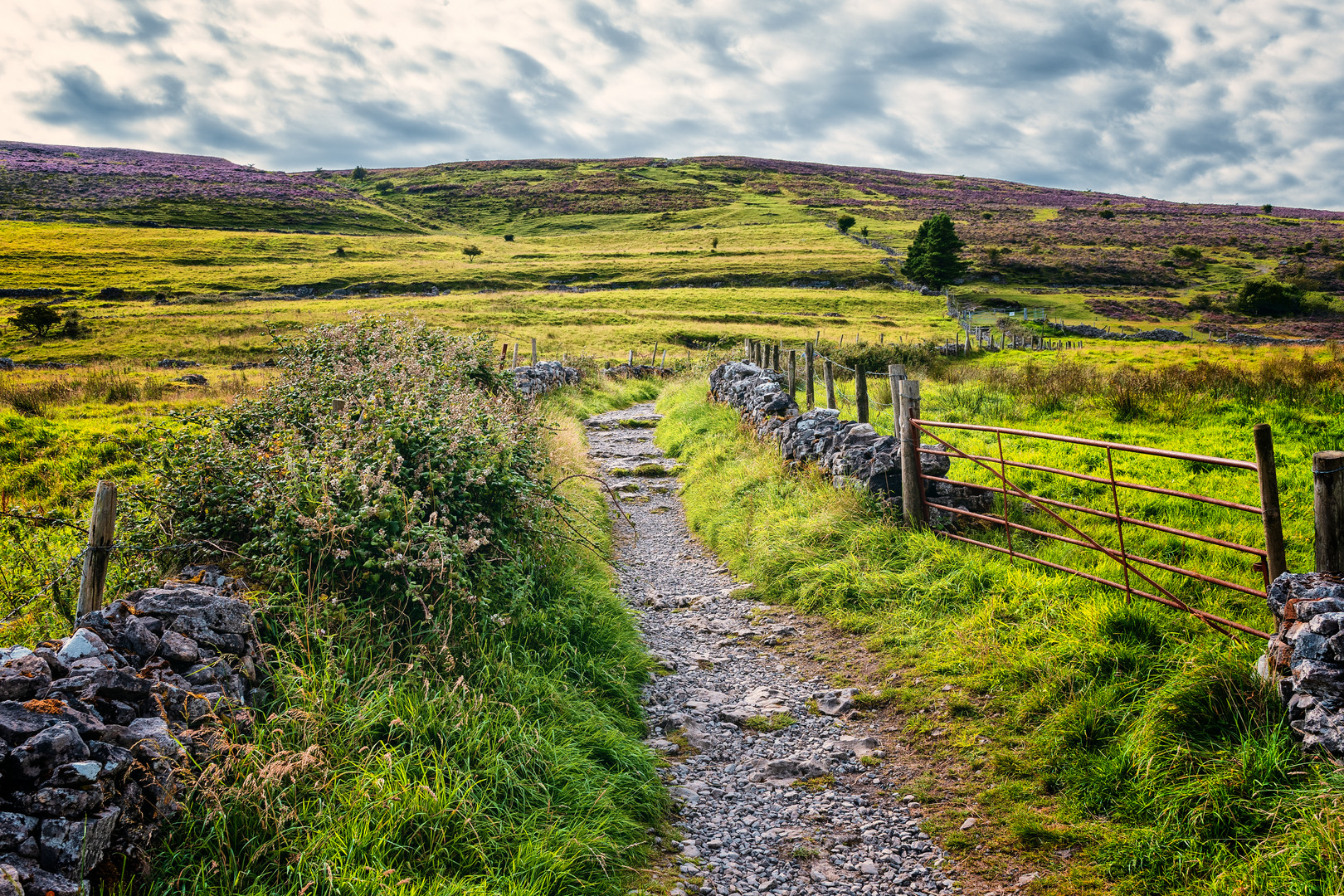 ... up the knocknarea ...