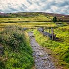 ... up the knocknarea ...