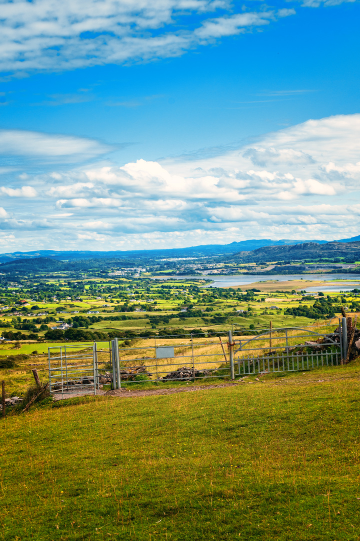 ... up the knocknarea II  ...