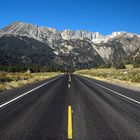 Up to the Tioga Pass