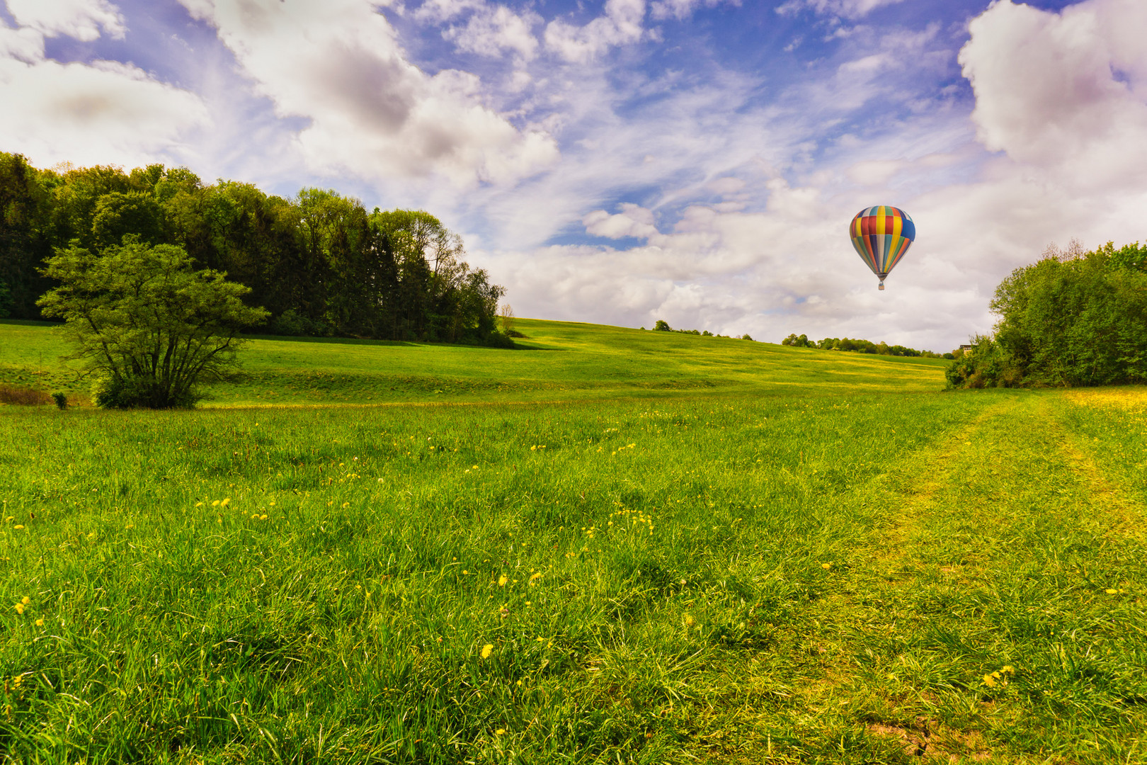 Up! Up and away!