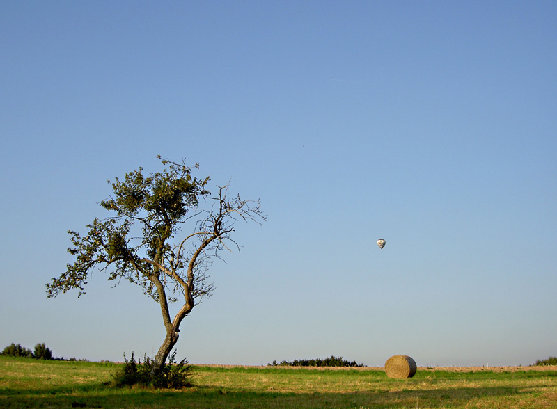 Up, up and away oder wohin der Wind uns weht