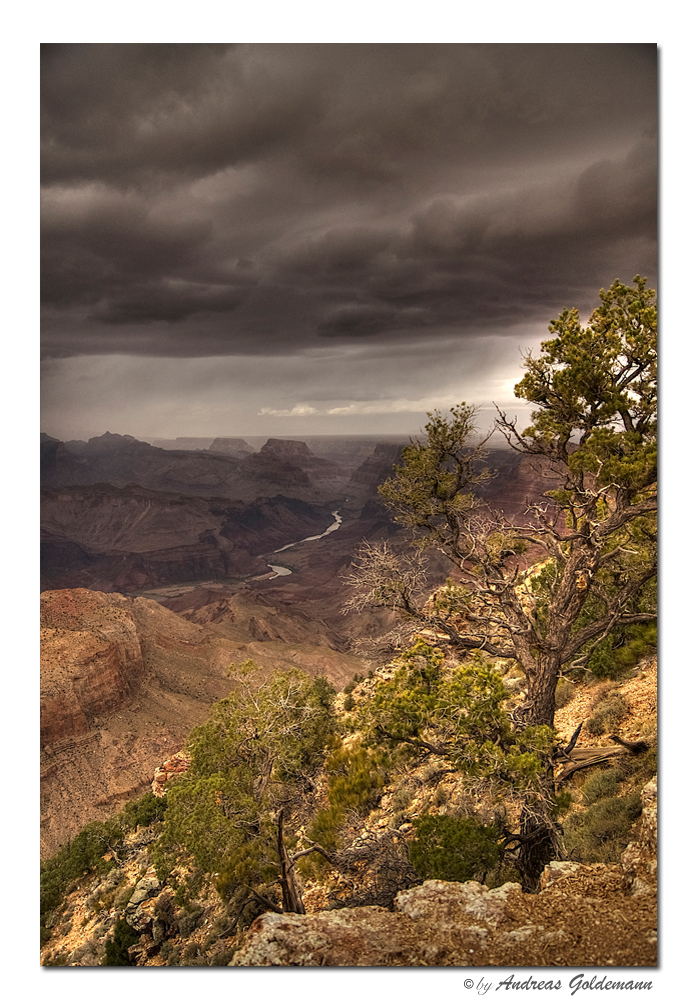 "Upcoming Rainstorm over the Canyon"