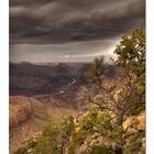 "Upcoming Rainstorm over the Canyon"