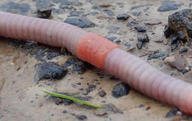 ---{([ UPLOAD 93--------------------