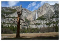 "Upper and Lower Yosemite Falls"