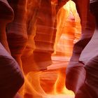 Upper Antelope Canyon - immer wieder schön