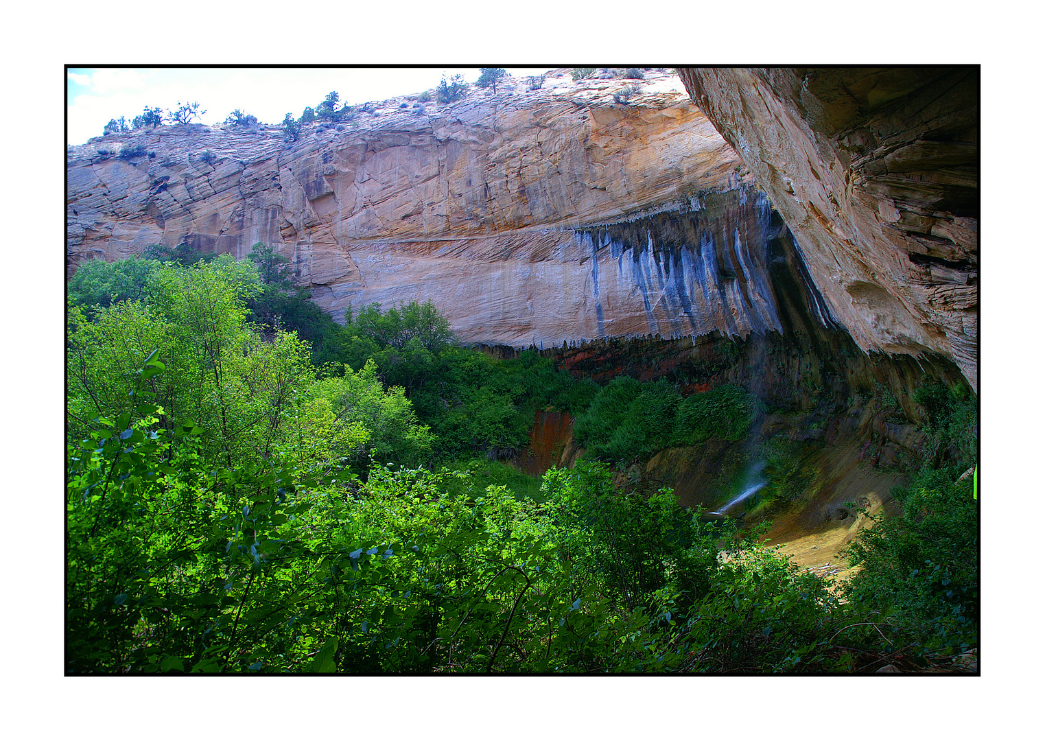 Upper Calf Creek Falls im Sommer