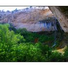 Upper Calf Creek Falls im Sommer