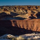 Upper Chute Canyon, San Rafael Swell, Utah