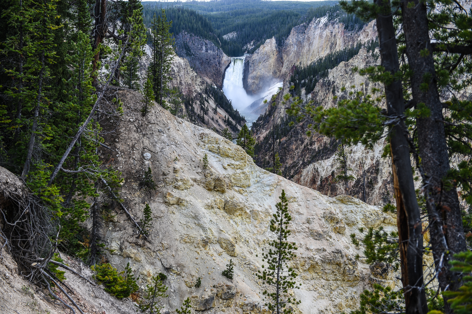 Upper Falls of the Yellowstone      DSC_3612-2