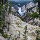 Upper Falls of the Yellowstone      DSC_3612-2