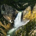 Upper Falls of the Yellowstone    DSC_3622-2