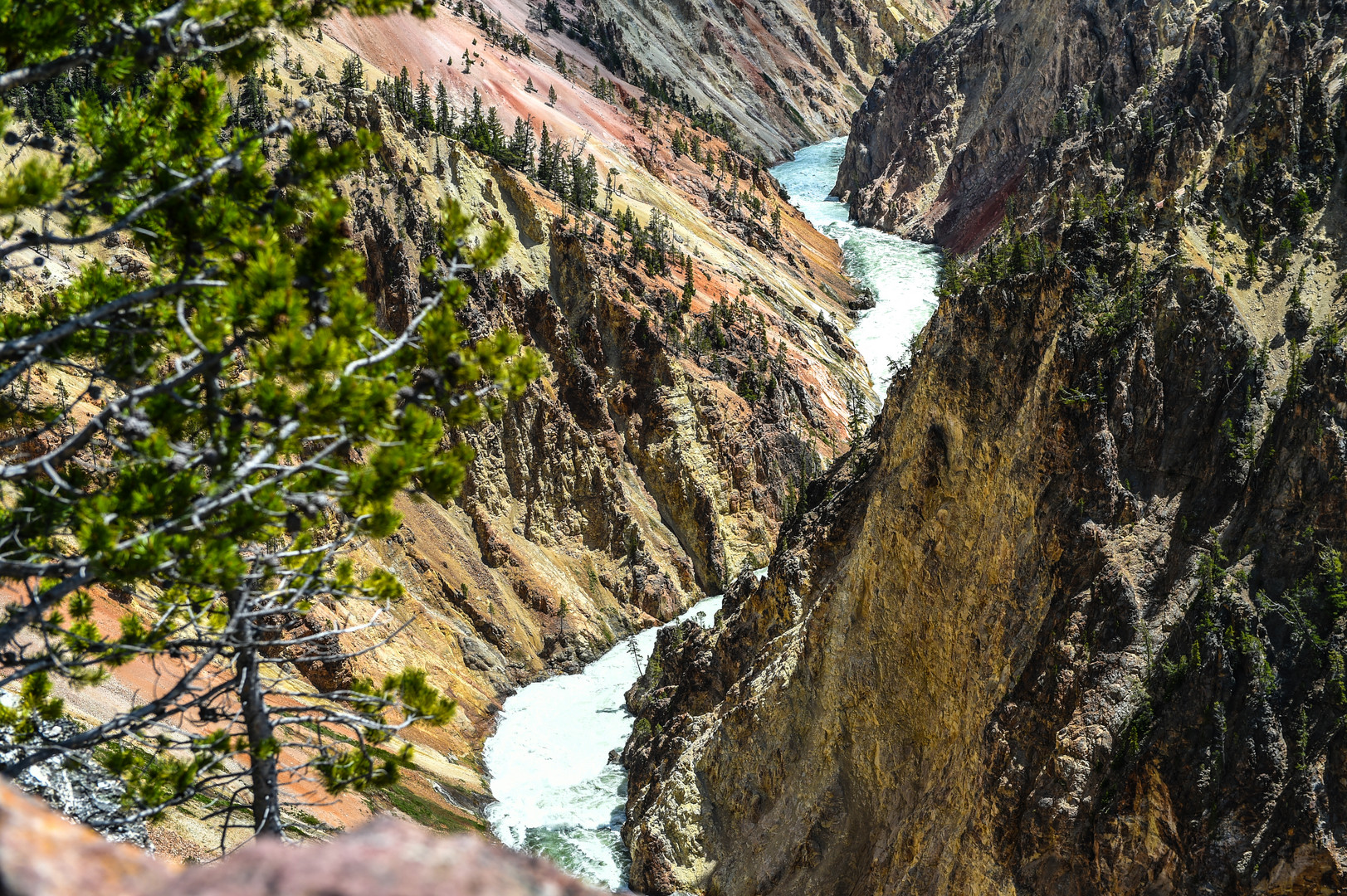 Upper Falls of the Yellowstone III   DSC_3633-2