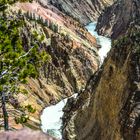 Upper Falls of the Yellowstone III   DSC_3633-2