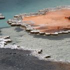 Upper Geyser Basin