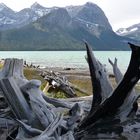 Upper Kanaskis Lake in Alberta