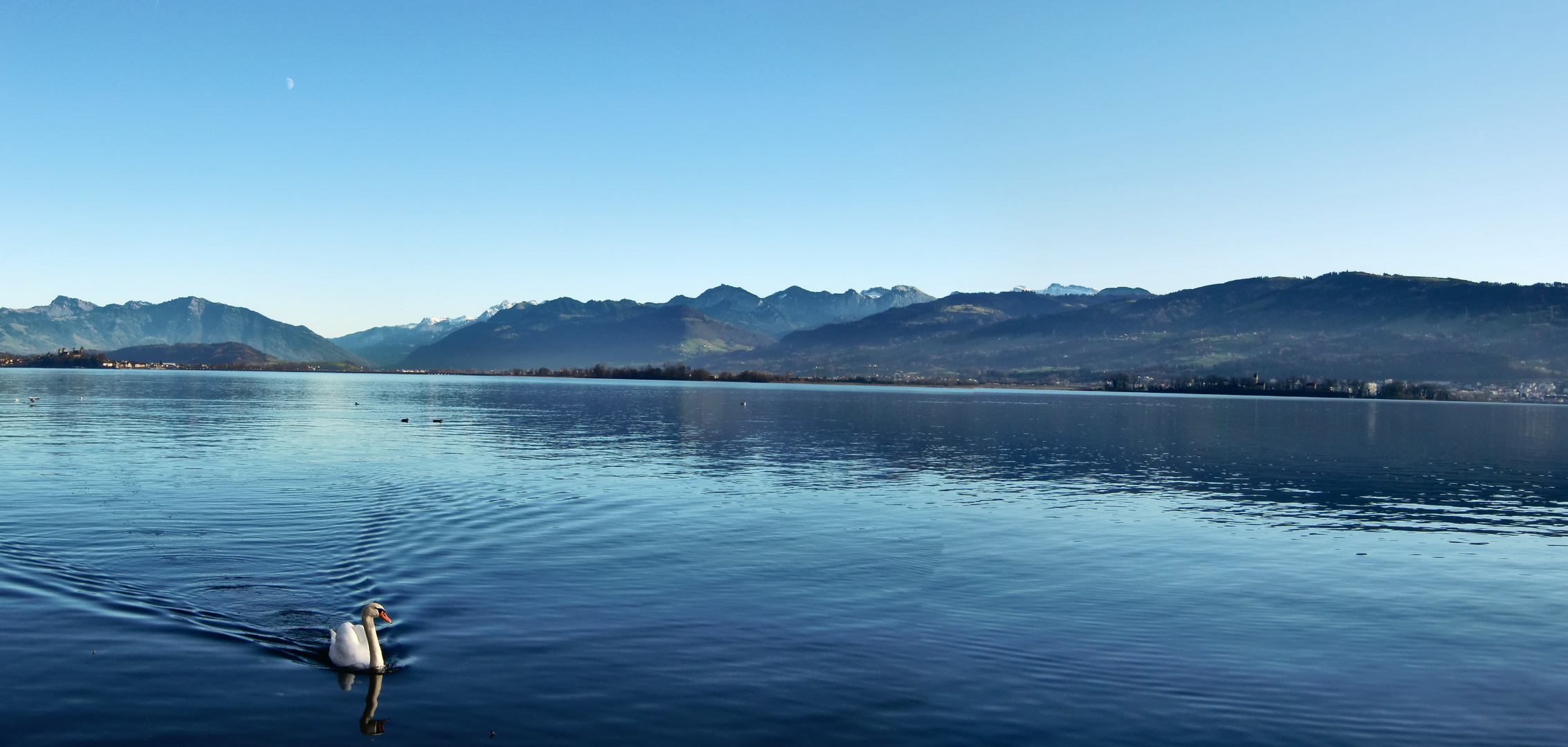 Upper Lake of Zurich