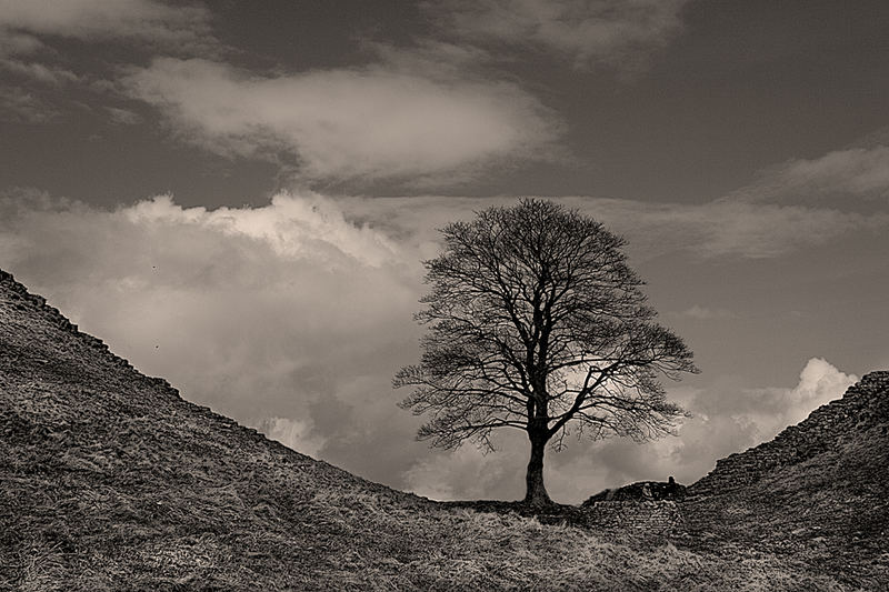 upper north tyne