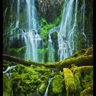 Upper Proxy Falls