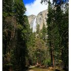 "Upper Yosemite Falls" nebst abfließendem Bach