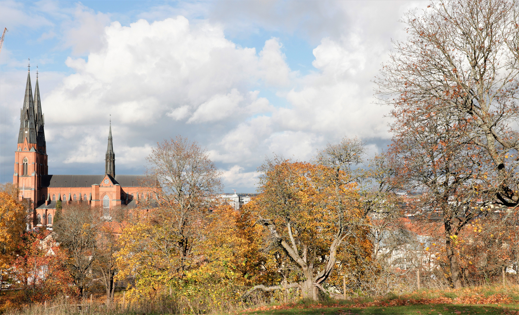 Uppsala- Sweden