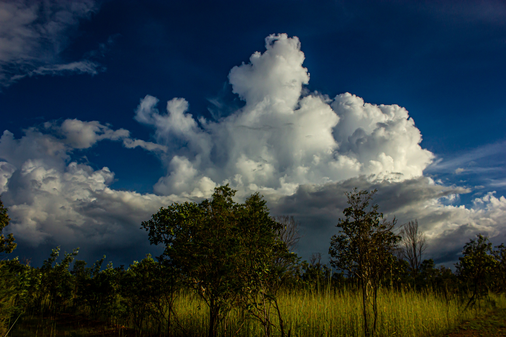 Uprising Cloud