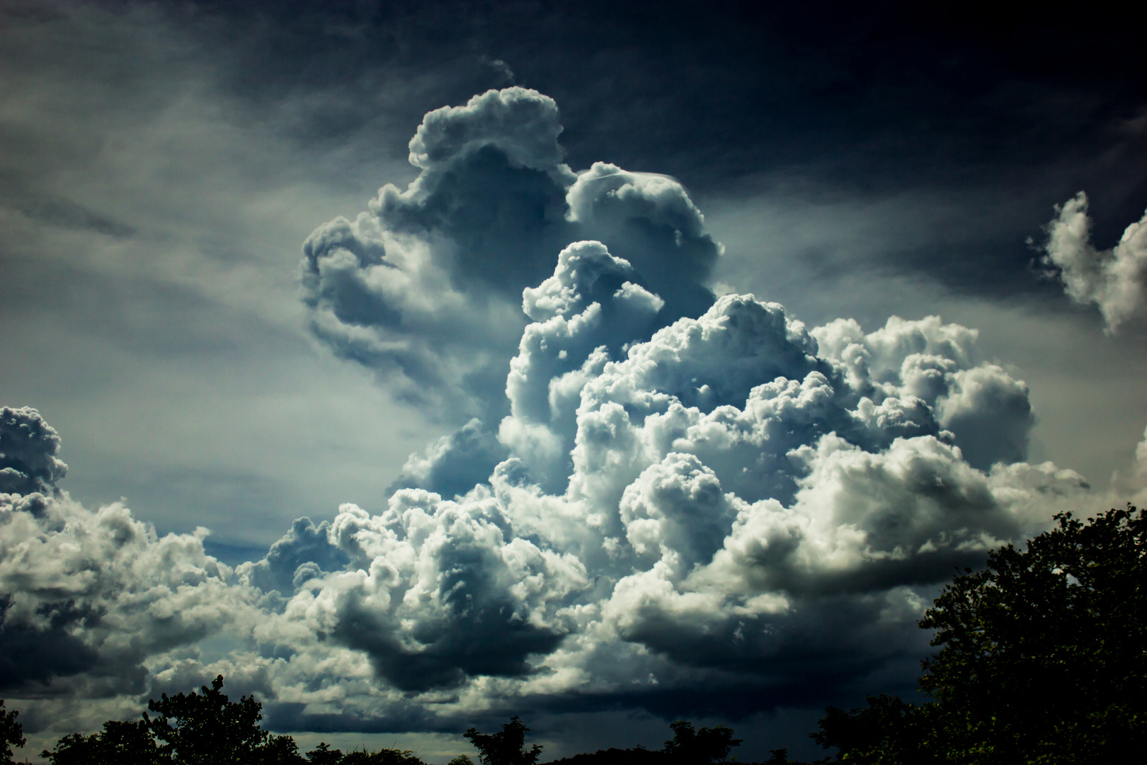 Uprising Cumulus Cloud, Adelaide River