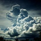 Uprising Cumulus Cloud, Adelaide River