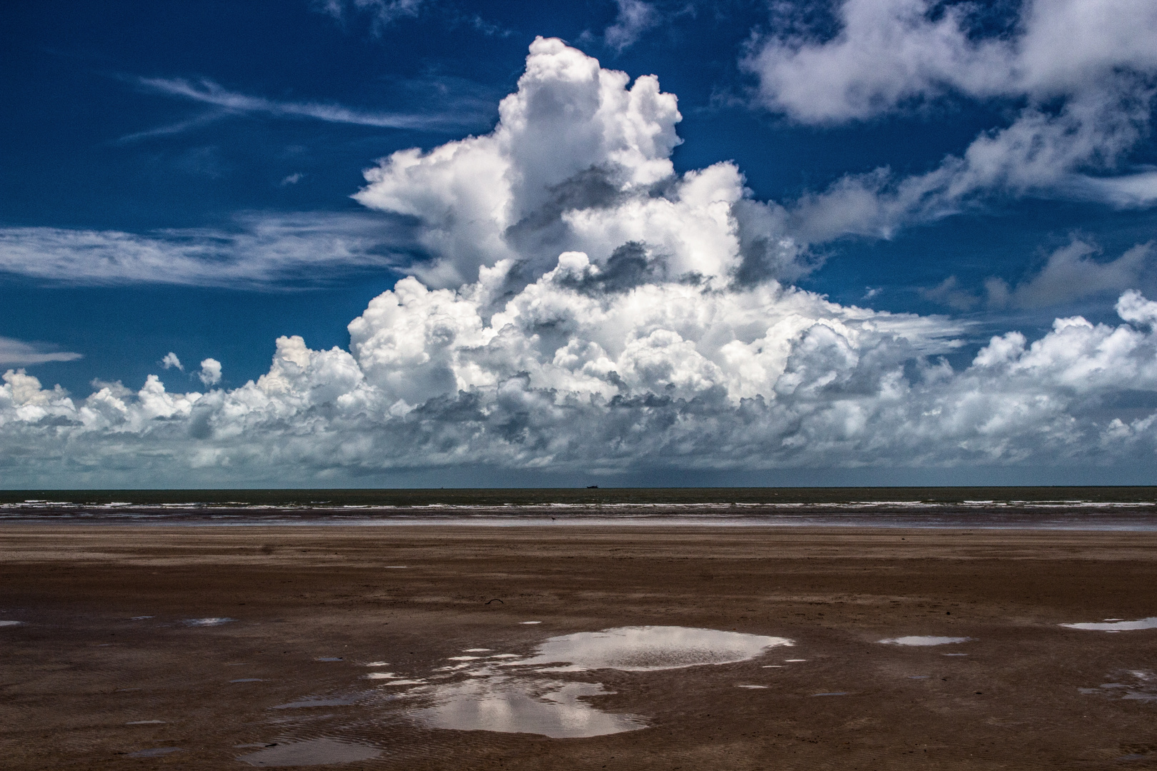 Uprising Cumulus Clouds