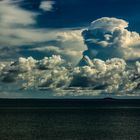 Uprising Cumulus Clouds 