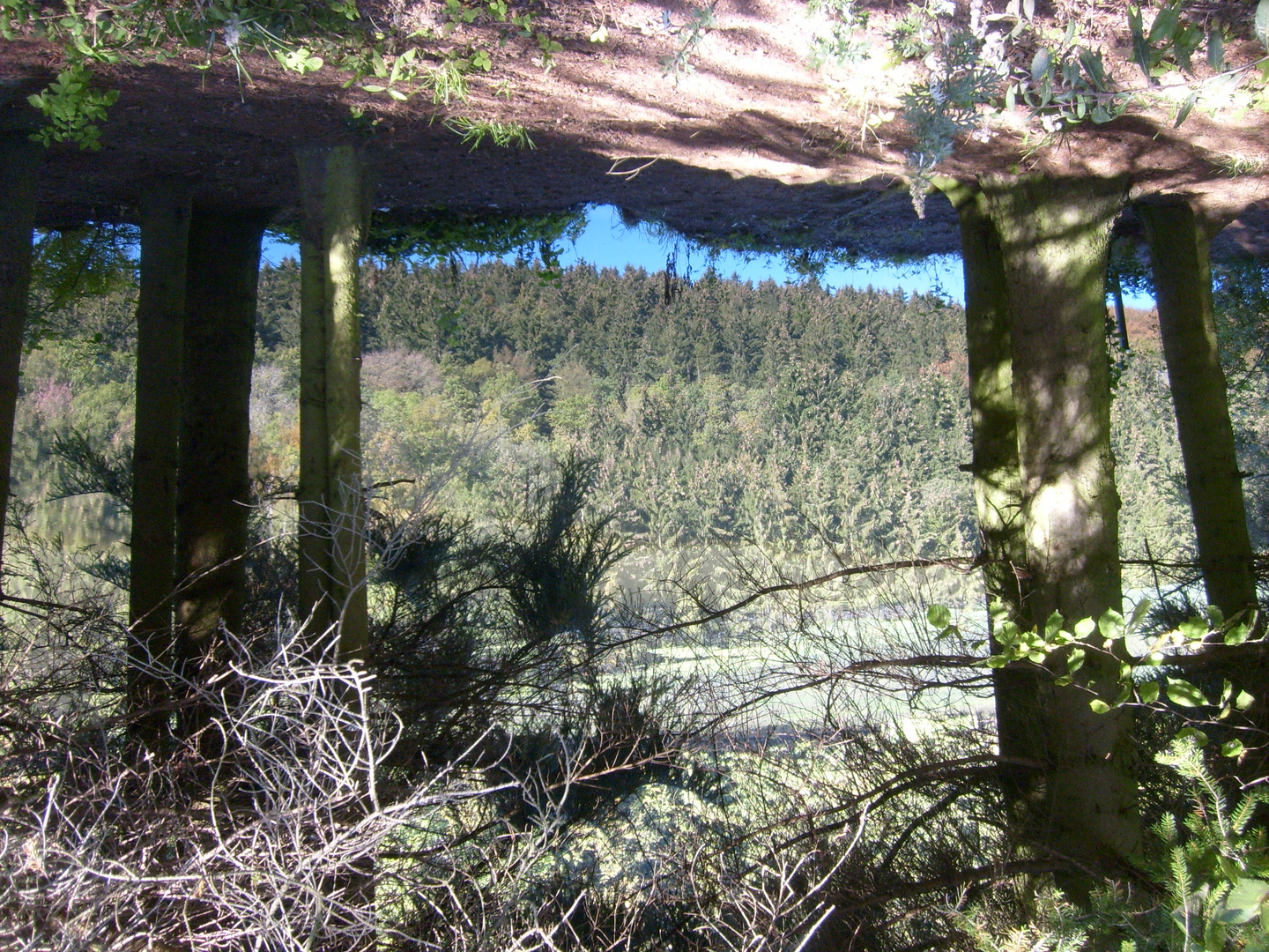 Upside Down, Kronenburgersee