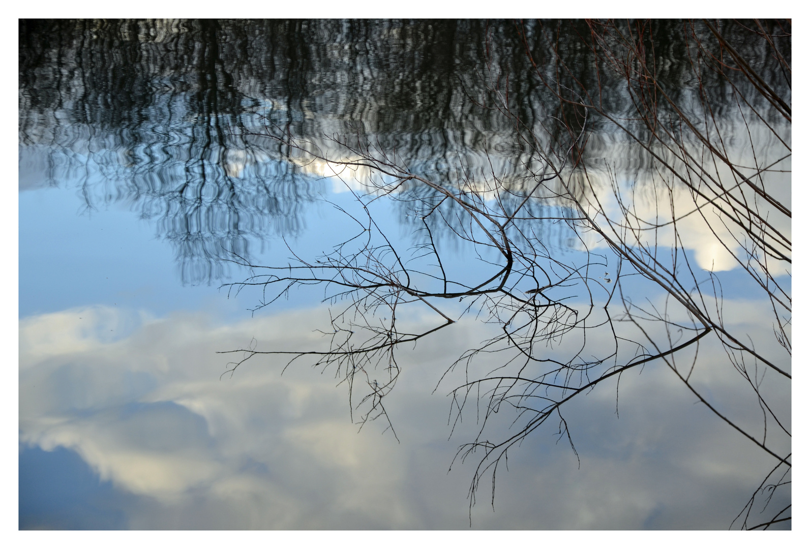 Upside down - Spiegelung am See