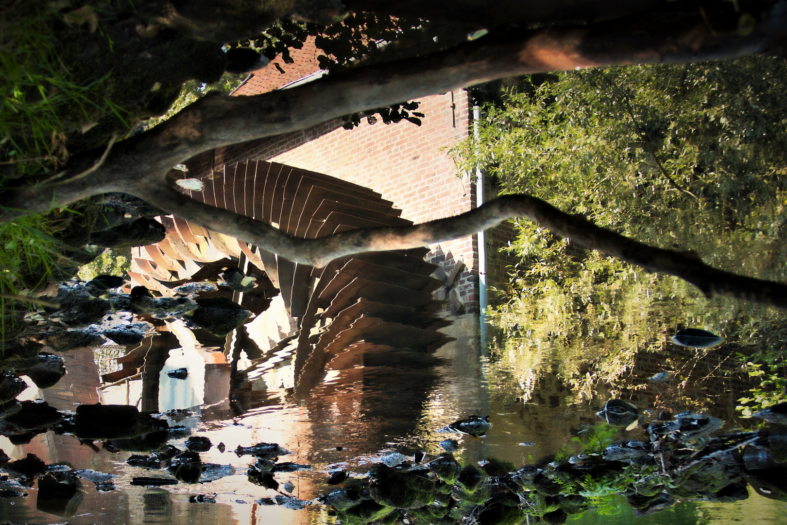 upsidedown zum Spiegeltag