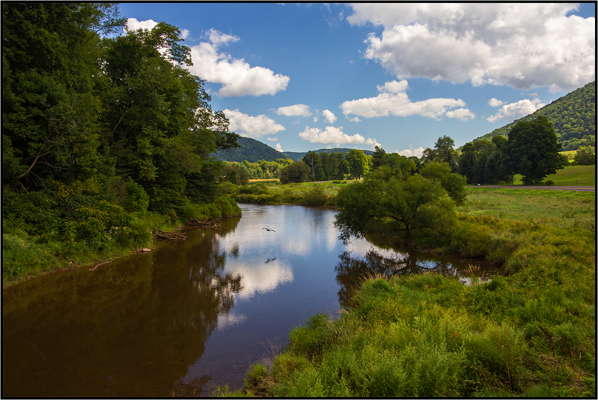 Upstate New York | Westbranch Delaware River |