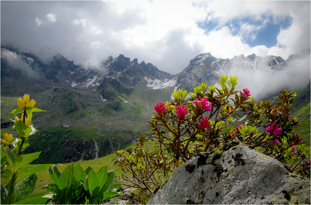 Ur W U C H S I G Foto Bild World Natur Osterreich Bilder Auf Fotocommunity